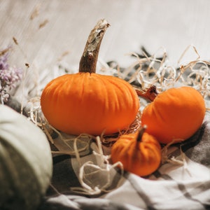 Petites citrouilles de velours pour halloween et Thanksgiving décor image 10