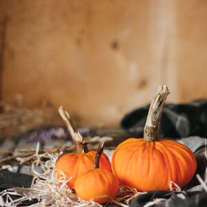 Petites citrouilles de velours pour halloween et Thanksgiving décor image 3