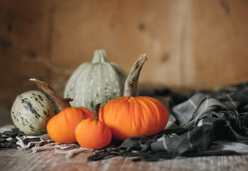 Petites citrouilles de velours pour halloween et Thanksgiving décor image 4