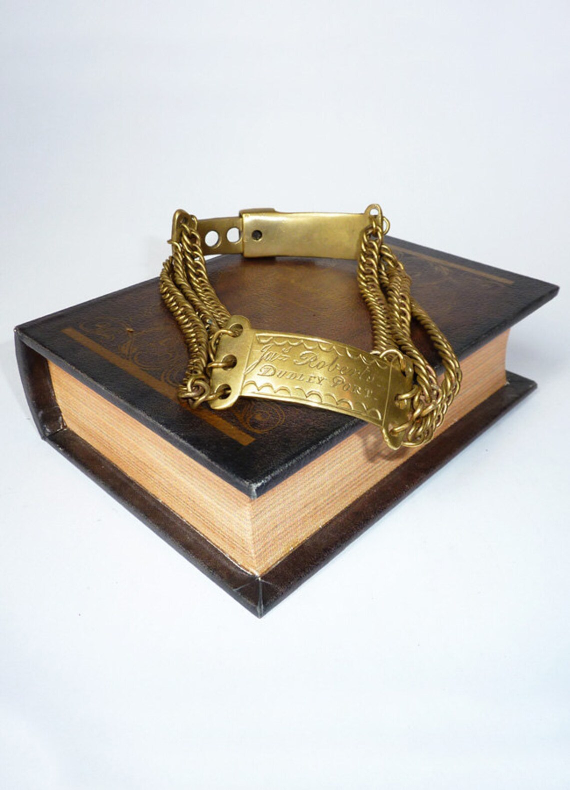 Brass Plated Dog Chain Collar and Key Etsy