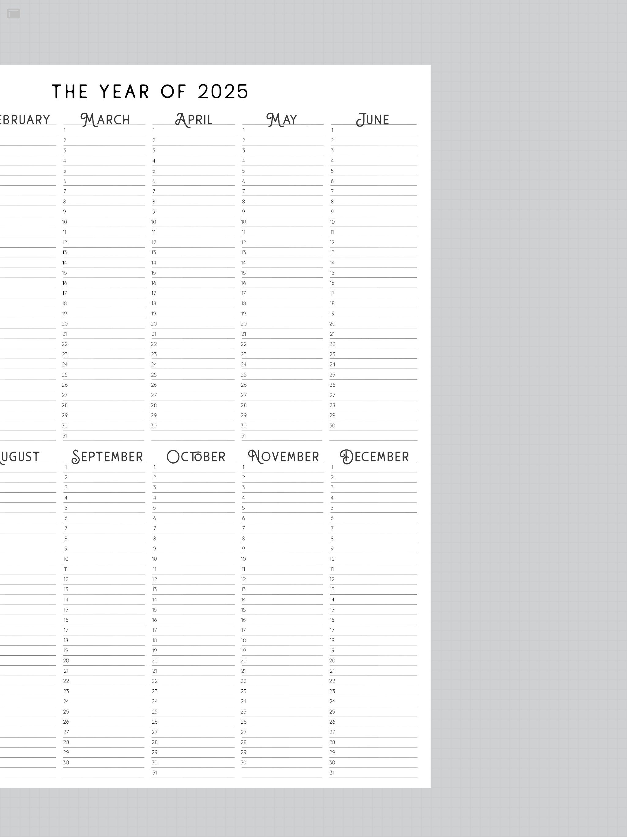 2025 Year at A Glance, INSTANT DOWNLOAD, Yearly Overview, Printable