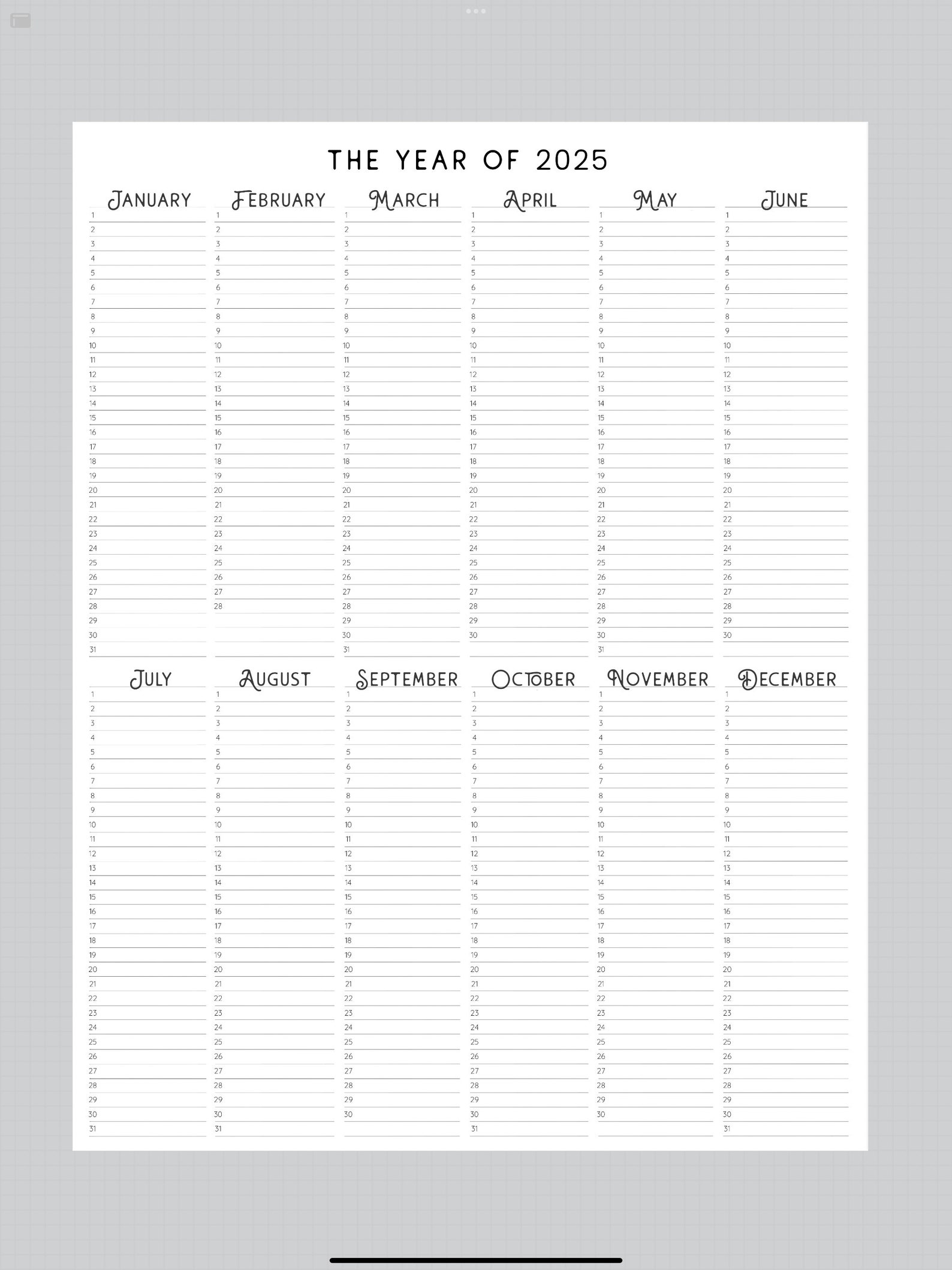 2025 Year at A Glance, INSTANT DOWNLOAD, Yearly Overview, Printable Calendar, 2025 Yearly