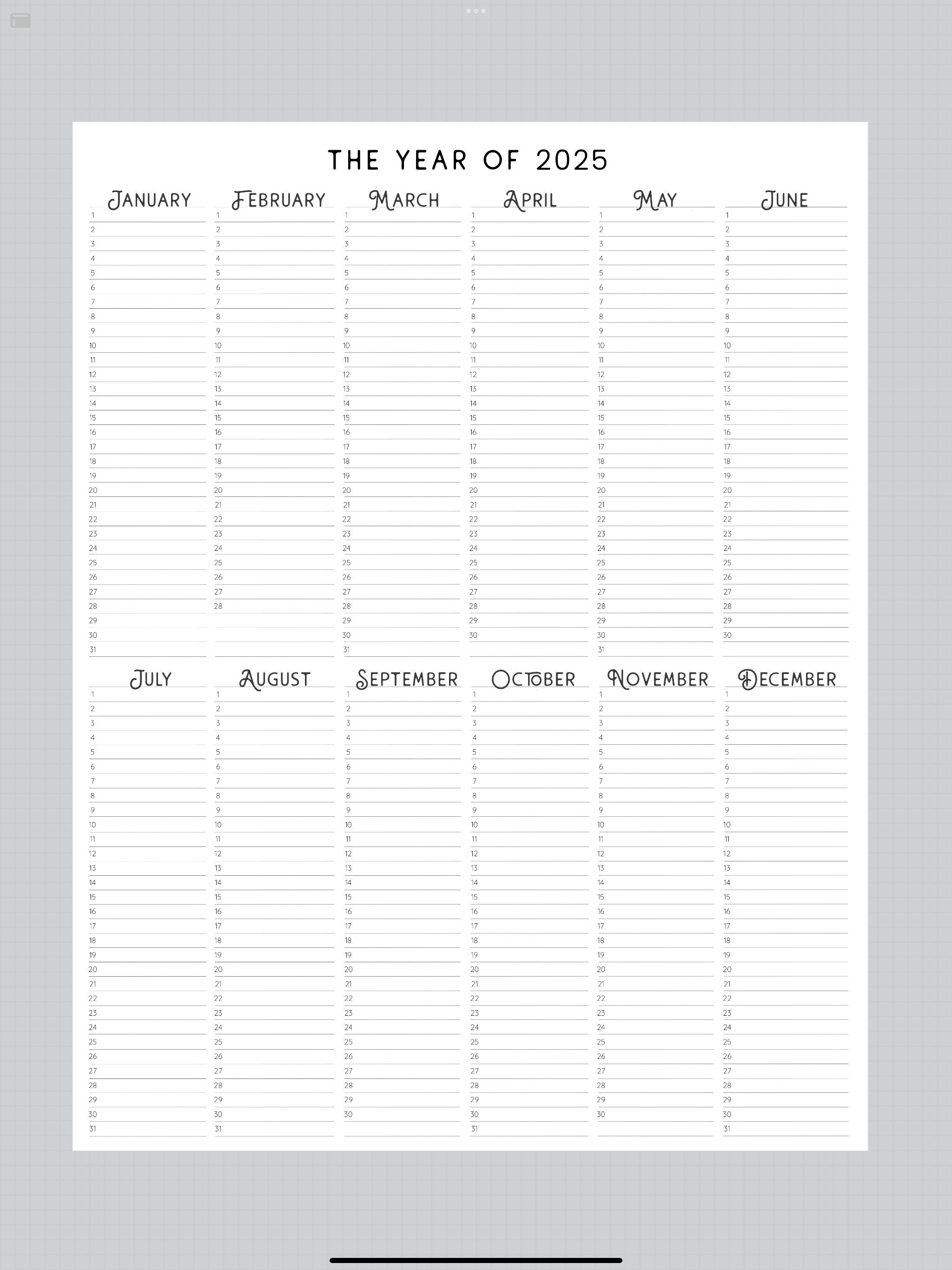 2025 Year at A Glance, INSTANT DOWNLOAD, Yearly Overview, Printable