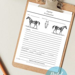 Equine assessment form with muscles