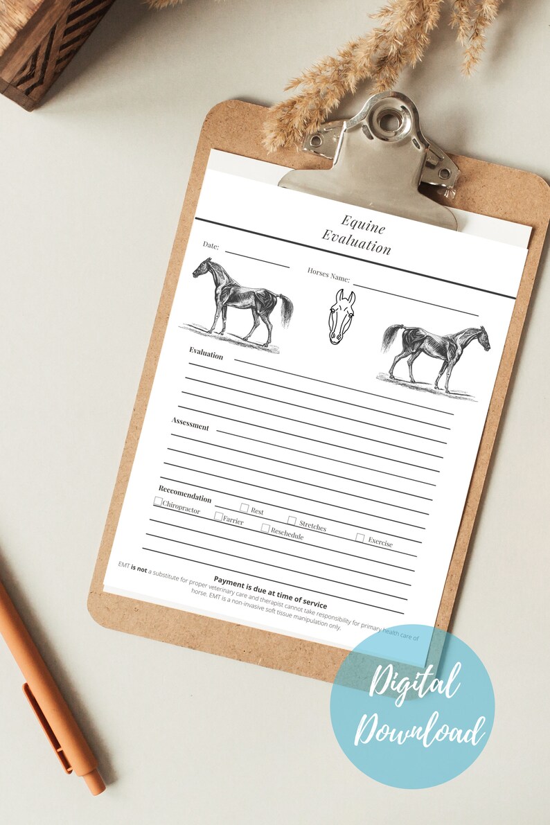 Equine Assessment Form With Muscles Etsy