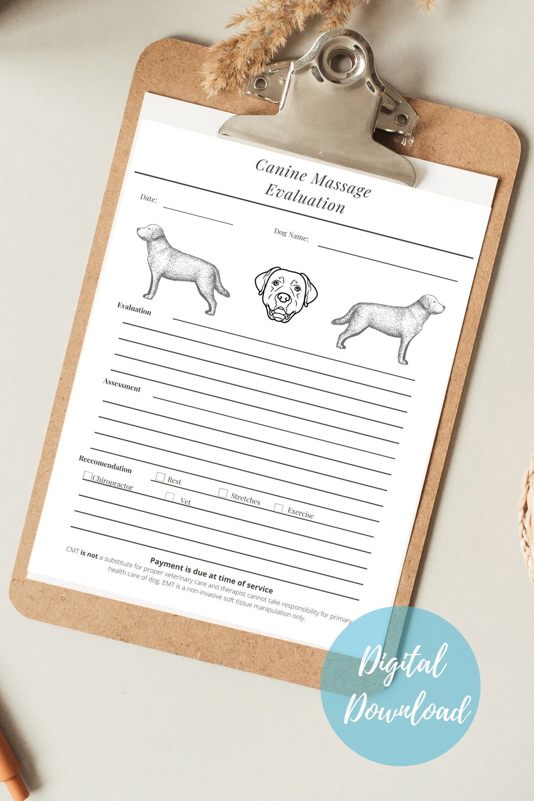 Canine Assesment Form - Etsy