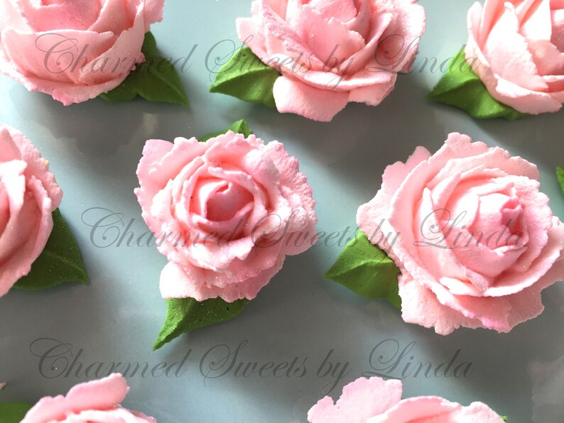 Magical Royal Icing Roses in Soft Pink Garden Fairy Parties Etsy