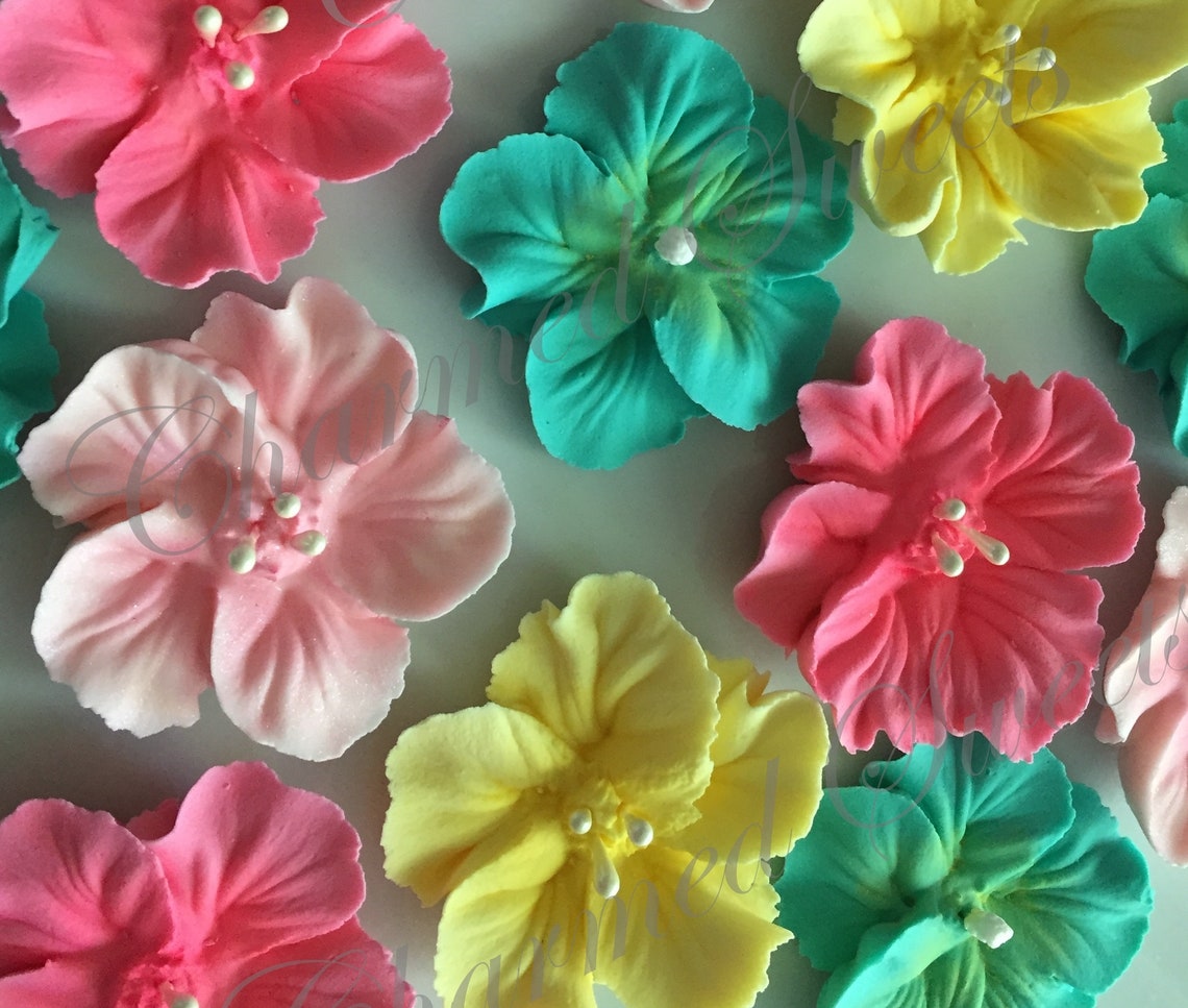 Royal Icing Hibiscus Flowers 2 Ready to Ship Etsy Canada