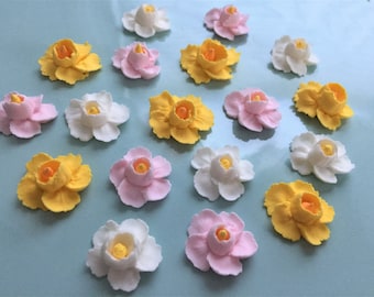 Royal Icing 'Petite Fleurs' Daffodils Collection Just the Flowers or on Sugar Cubes YOU CHOOSE!