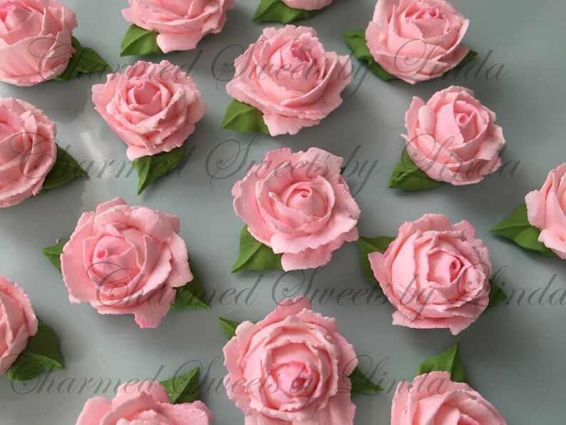 Magical Royal Icing Roses in Soft Pink Garden Fairy Parties Etsy