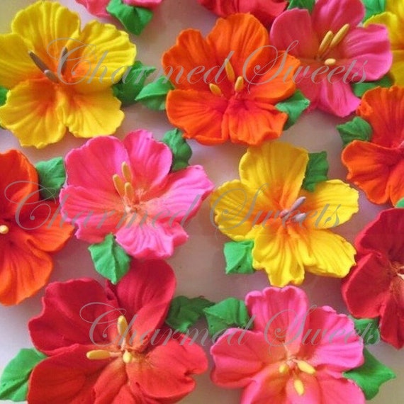 Royal Icing Hibiscus Flowers in Bright Summer Colours With Etsy Canada