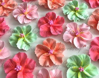 The Sherbert Collection Royal Icing Hibiscus Flowers Cake Cupcake Toppers Brides Tea Parties 12 Pieces in a Package