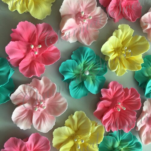 Royal Icing Hibiscus Flowers 2 Ready to Ship Etsy Canada