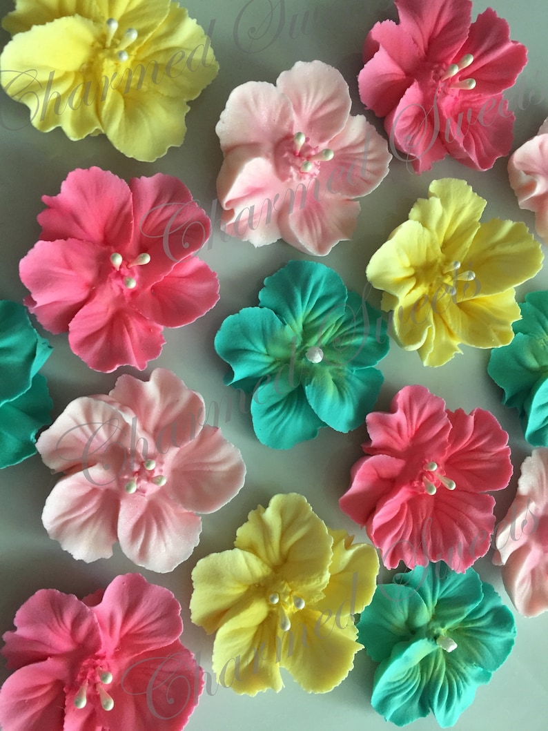 Royal Icing Hibiscus Flowers 2 Ready to Ship Etsy Canada