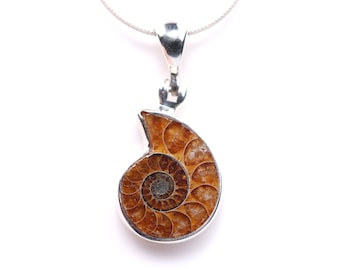 Ammonite Pendant - Sterling Silver Ammonite Necklace - Fossil Jewelry