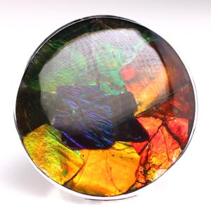 Size 6 - Sterling Silver Ammolite Statement Ring - One of a Kind Ammolite Fossil Jewelry