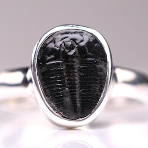Size 7 - Trilobite Fossil Ring - Sterling Silver Fossil One of a Kind Jewelry - Unique Gift for Him or Her