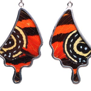 Sterling Silver Butterfly Wing Earrings - Cattagrama Butterfly Jewelry - One of a Kind Handcrafted Dangle Drop Earrings - 950 Silver