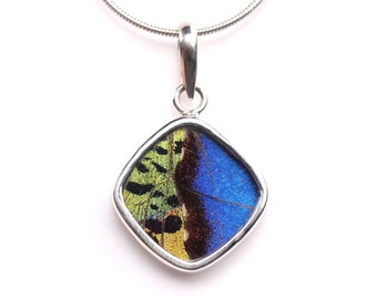 Sterling Silver Butterfly Wing Pendant - One of a Kind Handcrafted Morpho & Sunset Moth Necklace - Butterfly Jewelry