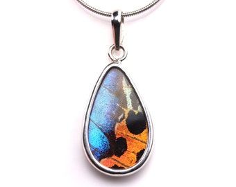 Sterling Silver Butterfly Wing Pendant - One of a Kind Handcrafted Morpho & Sunset Moth Necklace - Butterfly Jewelry