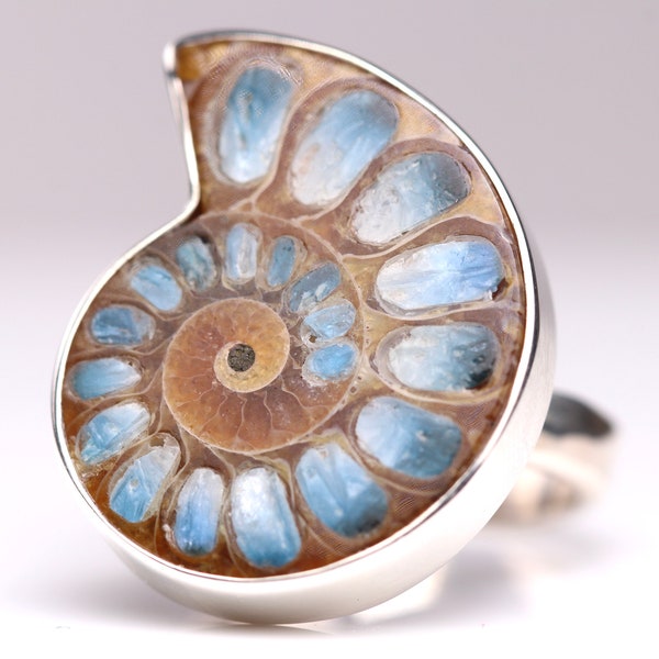 Ammonite with Blue Ice Glacierite Inlay Ring - Adjustable Size - Sterling Silver Ammonite Fossil Jewelry