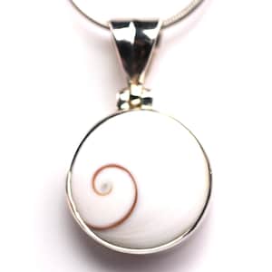 May include: A silver pendant featuring a white seashell with a brown spiral pattern.