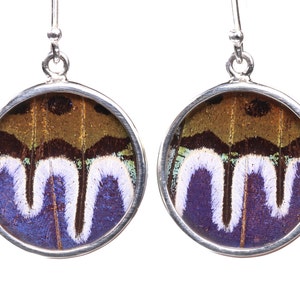 Sterling Silver Real Butterfly Wing Earrings -  Morpho Dideus and Sunset Moth - One of a Kind Handcrafted Dangle Drop Earrings