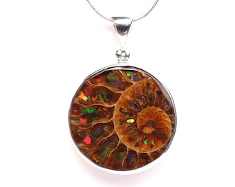 Colgante grande con incrustaciones de amonita y ammolita - Collar llamativo de plata de ley - Joyería fósil de ammolita