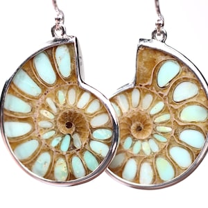 Può includere: Orecchini argentati con un design a forma di ammonite fossilizzata. Gli orecchini presentano un motivo a spirale con tonalità azzurre e marroni, incastonati in una cornice argentata. Gli orecchini sono progettati per essere appesi all'orecchio.