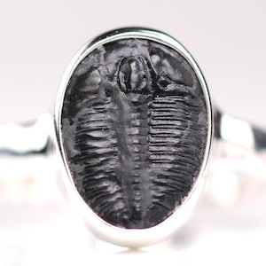 Size 6 - Trilobite Fossil Ring - Sterling Silver Fossil One of a Kind Jewelry - Unique Gift for Him or Her