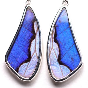Sterling Silver Real Butterfly Wing Earrings - Blue Morpho Dideus and Sulkowskyi - One of a Kind Handcrafted Dangle Drop Earrings - 950