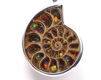 Large Ammonite Inlay Pendant with Ammolite - Sterling Silver Statement Necklace - Ammolite Fossil Jewelry