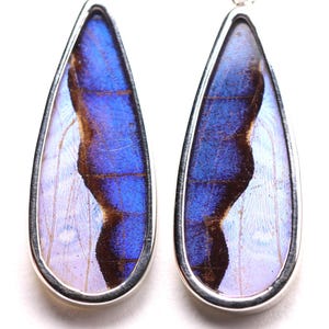 Sterling Silver Real Butterfly Wing Earrings - Blue Morpho Dideus and Sulkowskyi - One of a Kind Handcrafted Dangle Drop Earrings - 950