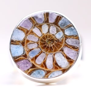 May include: A silver ring featuring a polished ammonite fossil. The fossil's spiral pattern showcases shades of brown, blue, and purple. The ring's setting is a bright, polished silver.
