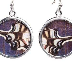 Sterling Silver Real Butterfly Wing Earrings -  Morpho Dideus and Sunset Moth - One of a Kind Handcrafted Dangle Drop Earrings