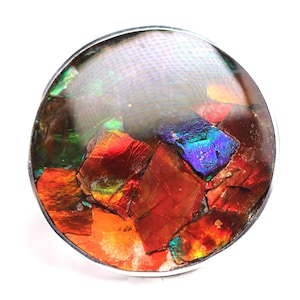 Size 8 - Sterling Silver Ammolite Statement Ring - One of a Kind Ammolite Fossil Jewelry