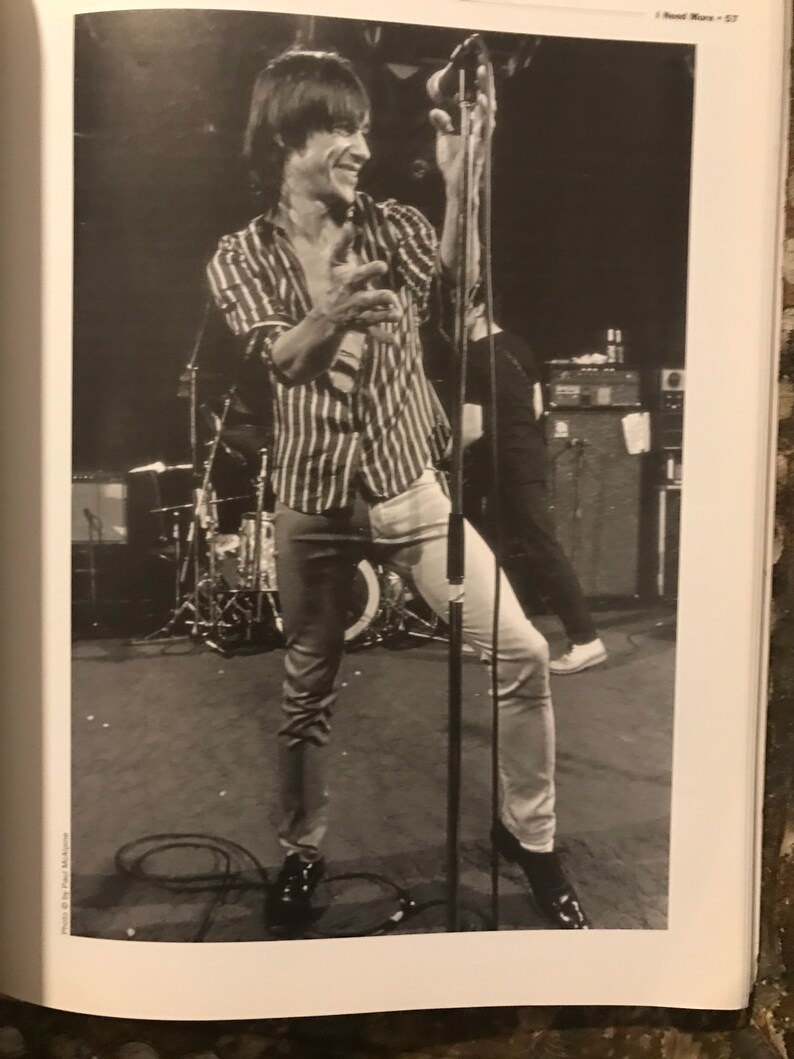 iggy pop punkrocker iggy pop punkrocker
