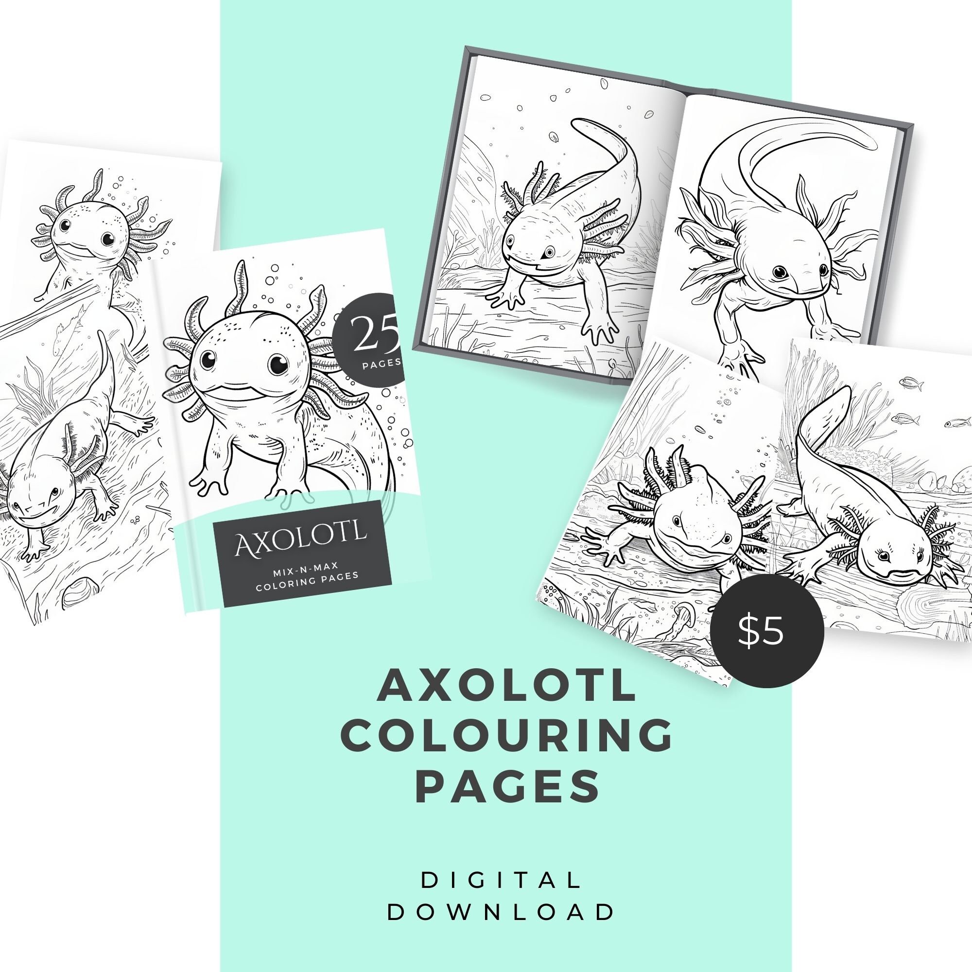 Axolotl Colouring Pages - 25 Page Coloring Book - Etsy
