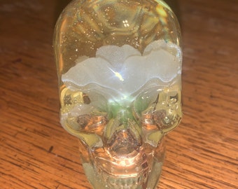 Skull Blue Flower Resin Skull Head Paper Weight Desk Alter Home Decor Halloween