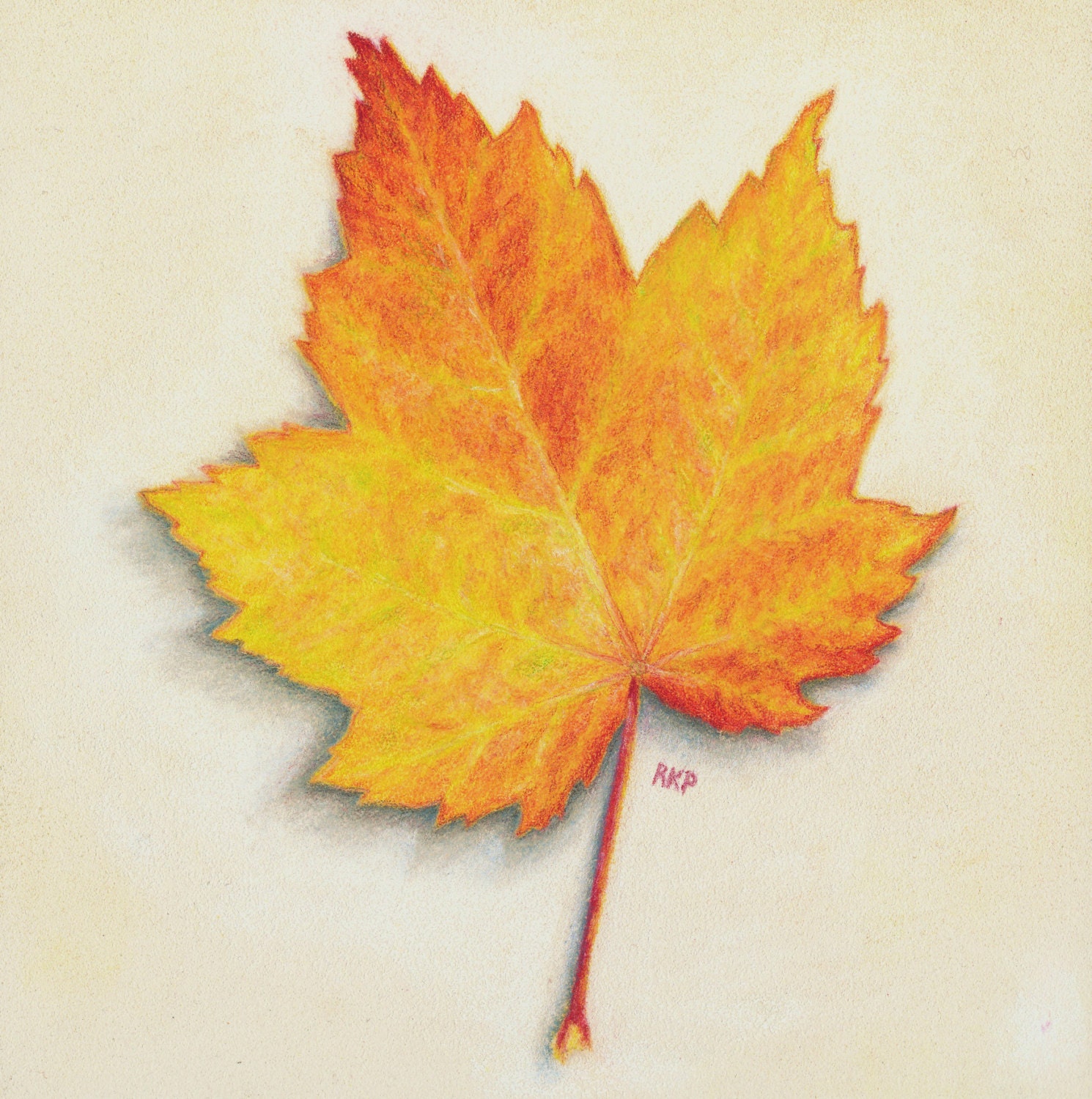 Leaf drawings online in pencil