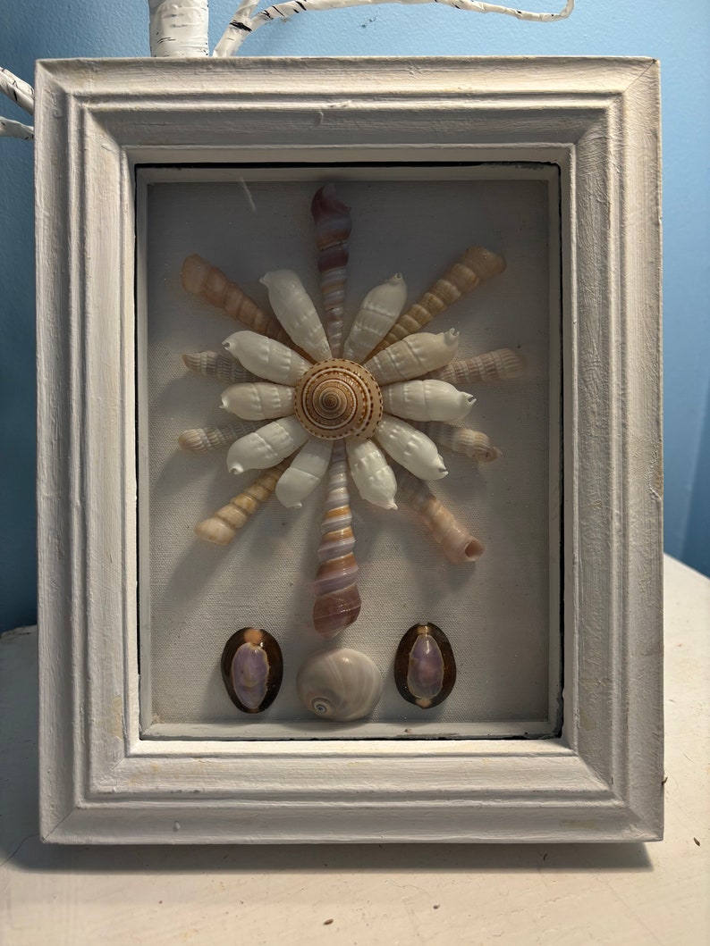 Handcrafted Seashell Shadow Box - Etsy