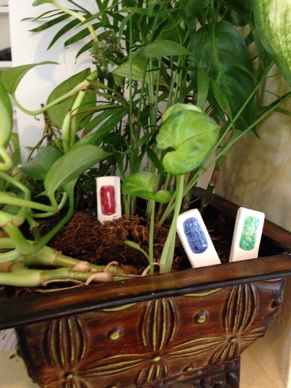 Items similar to Plant Gems set of 3 on Etsy