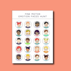 Emotional Regulation and Awareness Activity