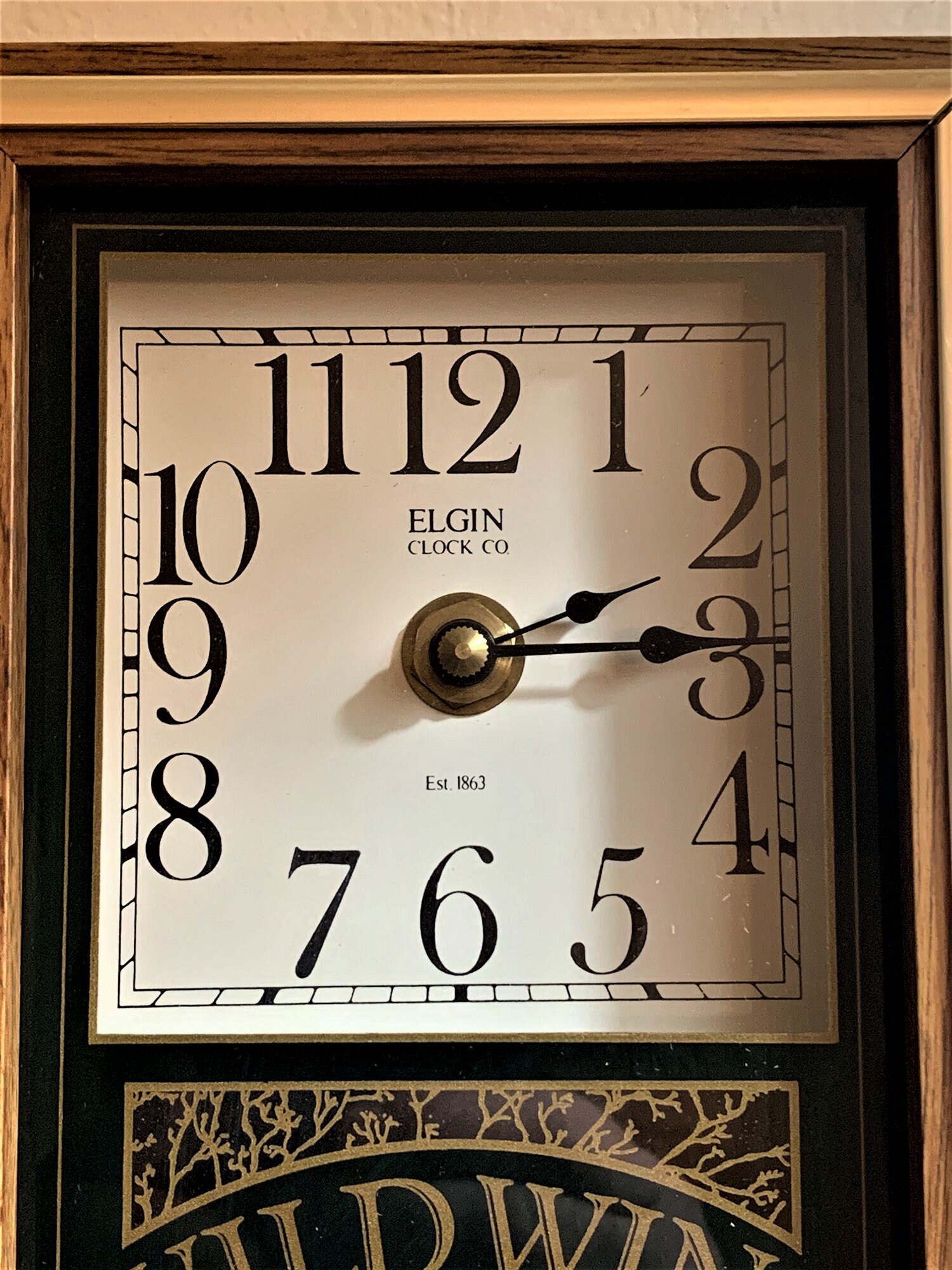 Elgin Clock Co. Wall Novelty Clock “wildwing Stillwater”, 13 Tall 5 1