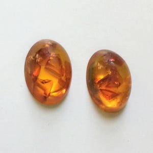May include: Two oval-shaped amber earrings with a marbled pattern.