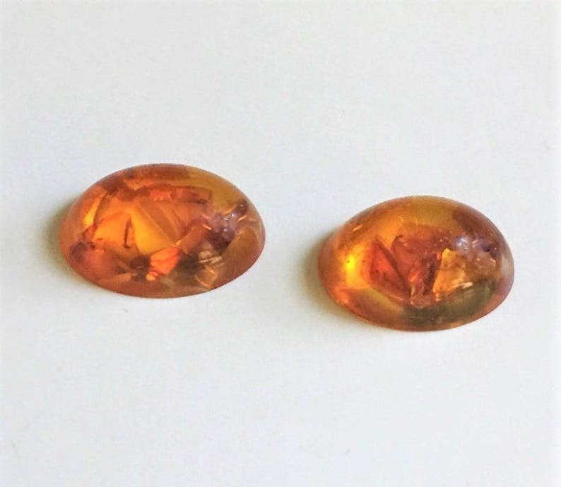 May include: Two oval-shaped amber cabochons with inclusions of insects. The amber is a warm, honey color and the insects are visible within the stone.