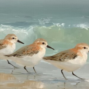 May include: An oil painting depicts three small shorebirds with brown, white, and orange plumage, standing in shallow water. The birds have black beaks and legs. The background features a light blue ocean with breaking waves.
