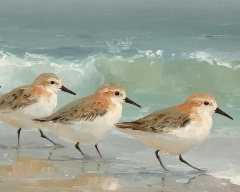 May include: An oil painting depicts three small shorebirds with brown, white, and orange plumage, standing in shallow water. The birds have black beaks and legs. The background features a light blue ocean with breaking waves.