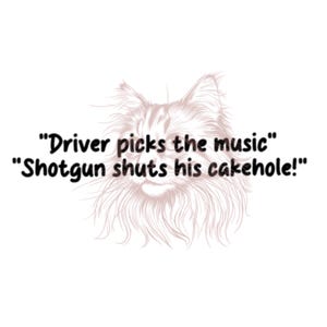 Driver picks the music (Supernatural quote) vinyl car decal