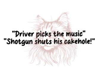 Driver picks the music (Supernatural quote) vinyl car decal